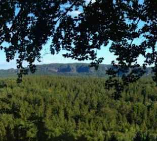 Aussicht vom Kuhstall