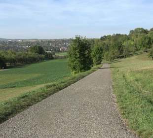 Wanderung zur Burgruine Liebenau