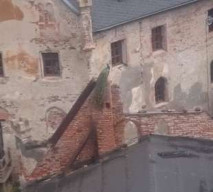 Provisorium mit Pfau