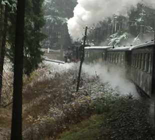 Sächsische Dampfschiffahrt