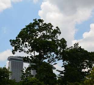 Skypark Marina Bay Sands