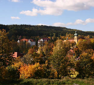 Okolica 