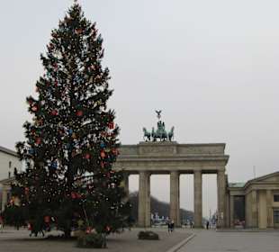 Brandenburger Tor hinterm Tannenbaum