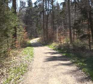 Waldkulturerbe Neuweiler Viehweide