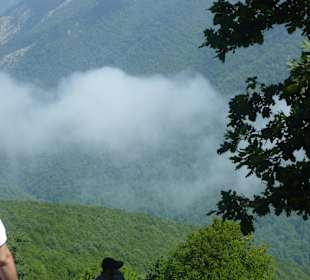 Aufkommender Nebel