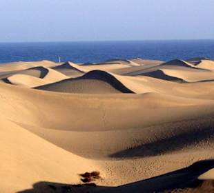 La Dunas Maspalomas