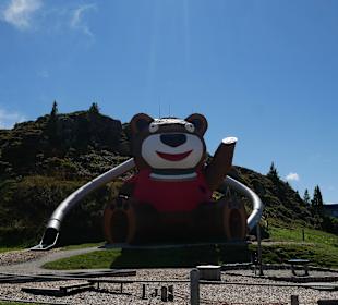 Wandern Ahorn Mayrhofen