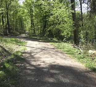 Wanderweg Hochgehwachsen