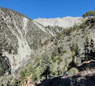 Горы Сан-Габриэль