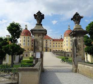 Schloss Moritzburg