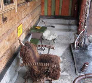 Restauracja Bury Miś