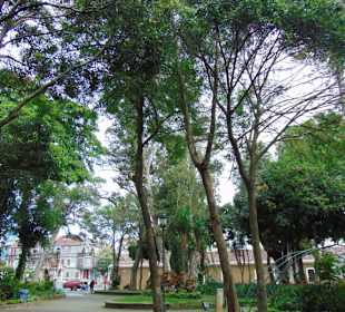 Stadtrundgang San José