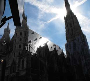 Der Dom