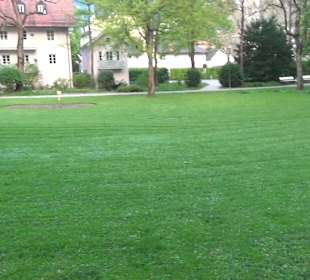 Ortenau Park