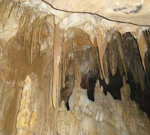 Tour from Punta Cana