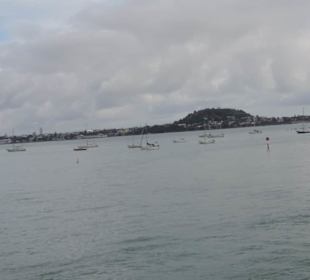 Mit dem Hop on Hop off Bus in Auckland unterwegs