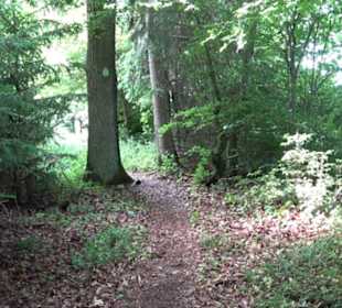 Premiumwanderweg "hochgehackert"