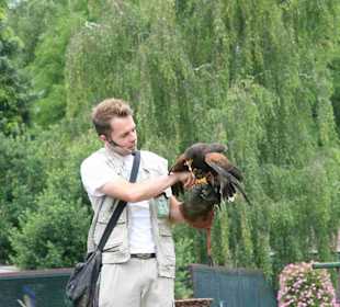 Vogelpark Walsrode