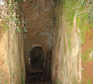 Einzelgrabkammer im Wald