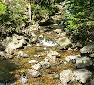 Wandern Sankt Oswald-Riedlhütte