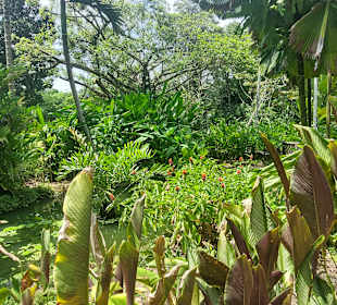 Botanischer Garten