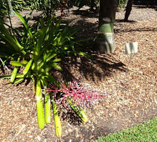 Stadtrundgang Sydney