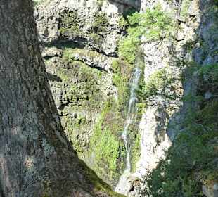 Canyon Spahats Falls Wells Gray Park