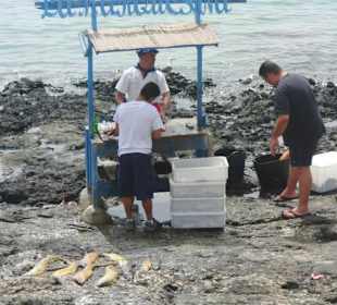 Fisch ausnehmen am Wasser