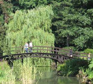 Ogród botaniczny