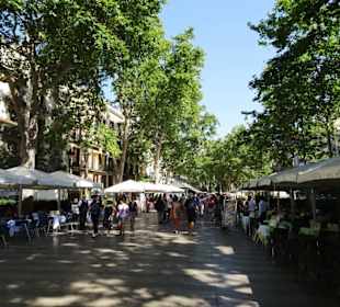 Impressionen von der Rambla
