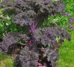 Impressionen aus dem Park der Gärten