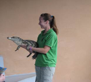 Reptilien-Show