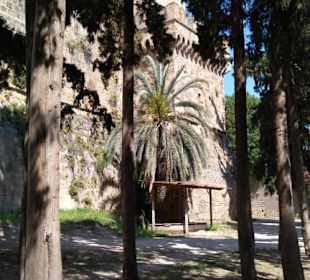 Im Festungsgraben zwischen den Mauern