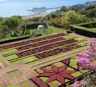 Aussicht Jardim Botanico Funchal 02.11.2014