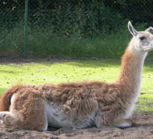 Serengeti Park Hodenhagen