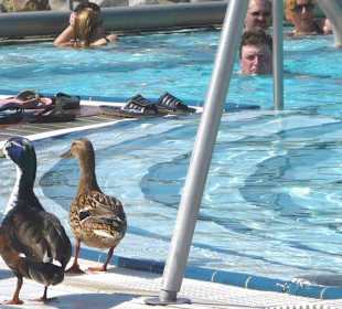 Kostenloser Thermenbesuch