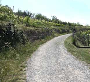 Früchtetrauf - Wurmlinger Kapellenwegle