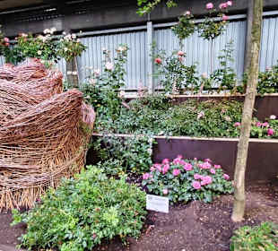 Gartenbau Fruchthalle