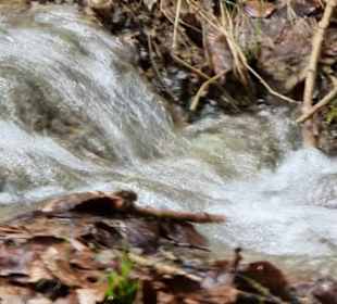 Wasserbild immer schön