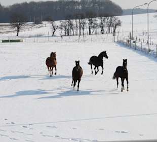 Wandern Igersheim