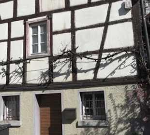 Museum unterm Trifels