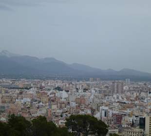 Blick vom Castell de Bellver