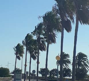 Hafen Novo Sancti Petri