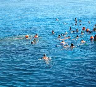 Schnorcheln bei Hurghada