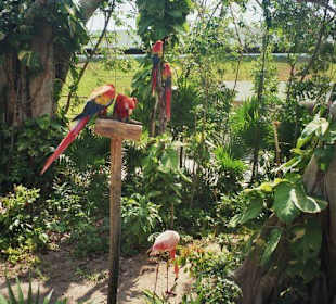 Xcaret 1