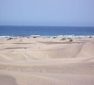 Dünenlandschaft Playa del Ingles