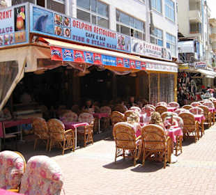 Delphin Bar Avsallar