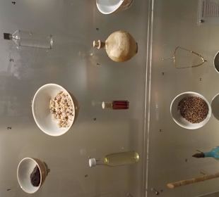 Экспонат исторического музея Шарджи