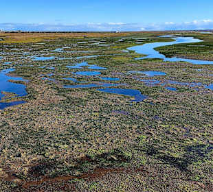 Parque Natural da Ria Formosa