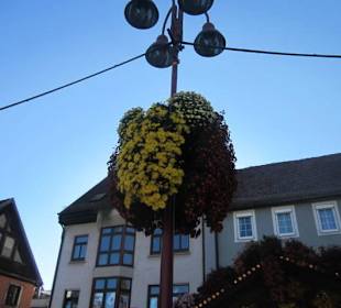 Chrysanthema Lahr